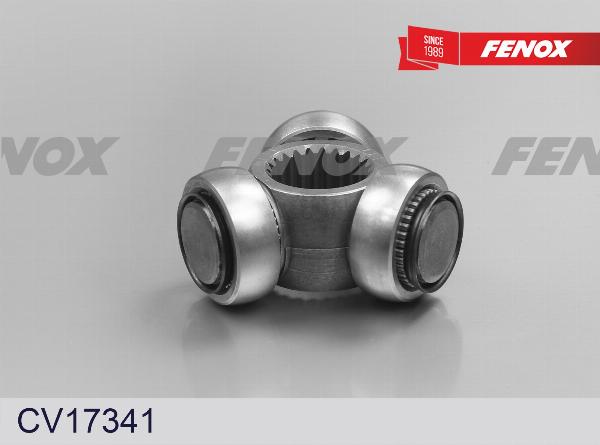 Fenox CV17341 - Муфта з шипами, приводний вал ligaparts.com.ua