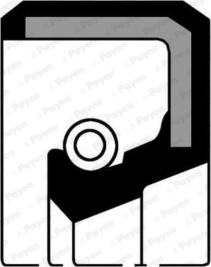 Payen NF369 - Ущільнене кільце, диференціал ligaparts.com.ua
